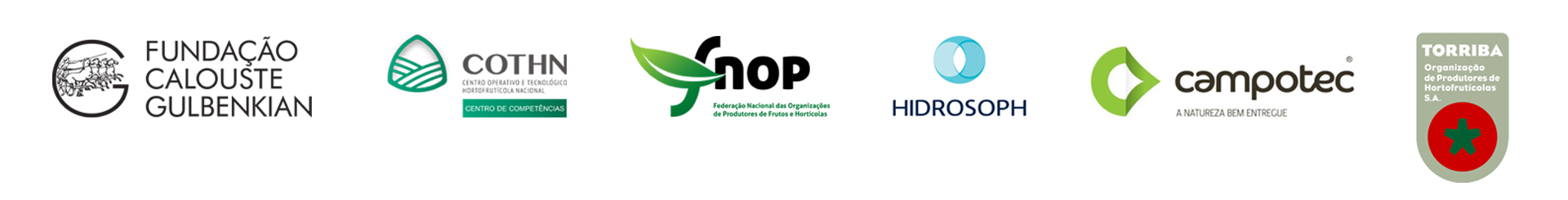 Barra Parceiros H2Optidemo
