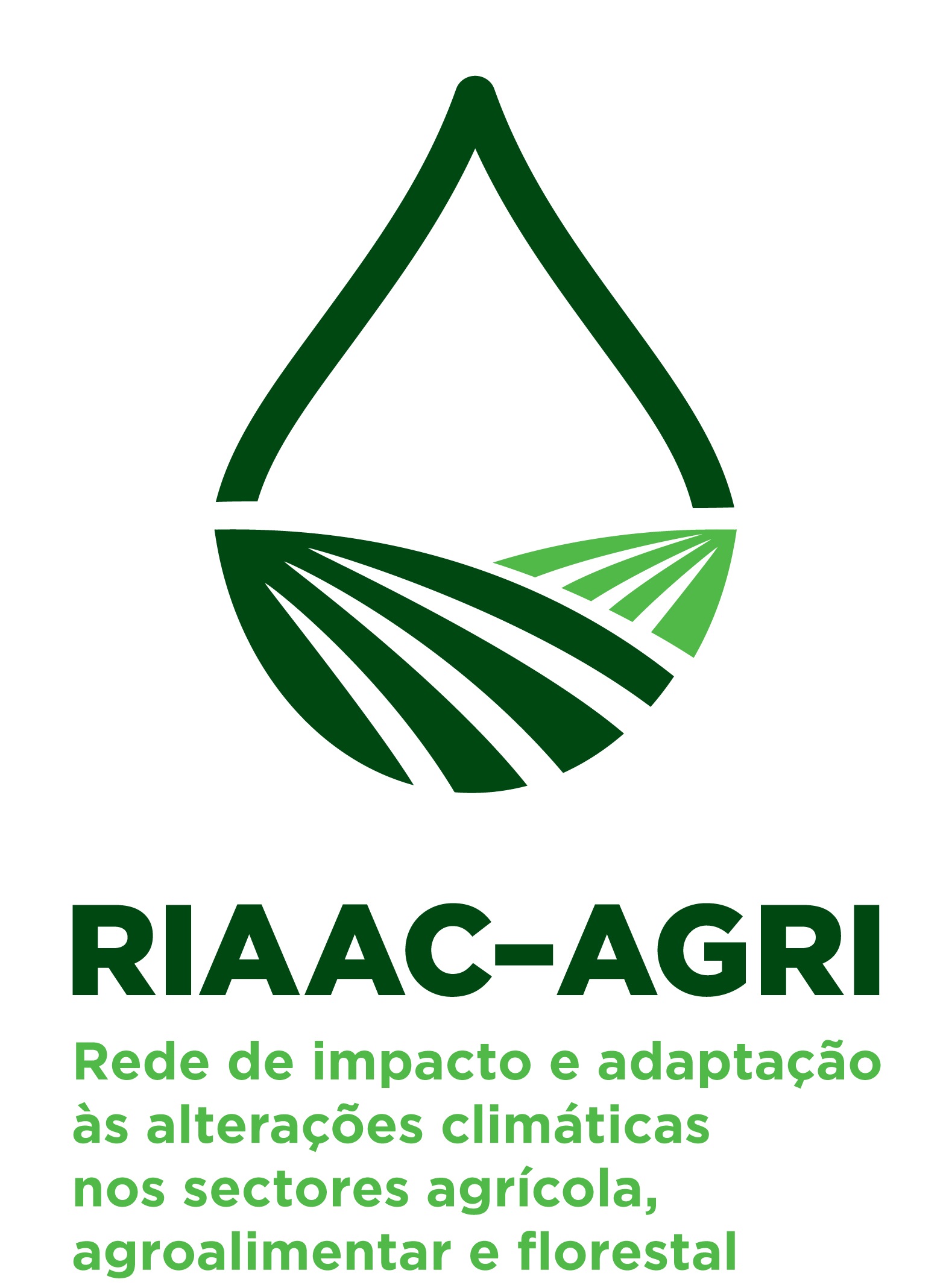 Logotipo Positivo B