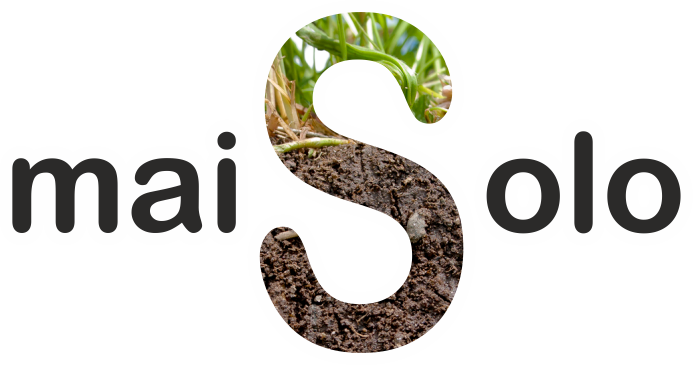mais solo 7